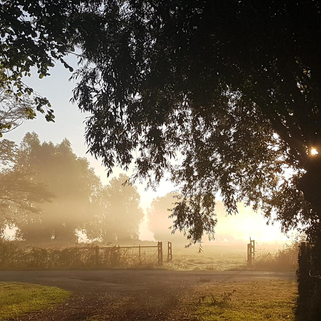 Fonsegre Chambres D'Hotes Magny-Cours Esterno foto